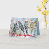Funny Budgie Budgerigar Joyeuse carte de Noël (Fleur jaune)