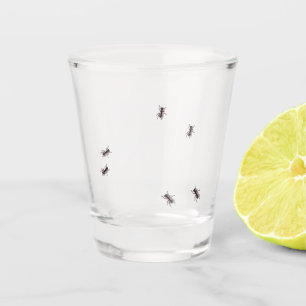 Funny Bug Ant Crawling Shot Glas