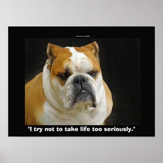 Funny Bull Dog Pet-liefhebbers Demotivationeel Pos Poster (Voorkant)