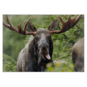 Funny Bull Moose Snijplank (Voorkant)