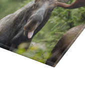 Funny Bull Moose Snijplank (Hoek)