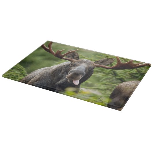 Funny Bull Moose Snijplank (Hoek)
