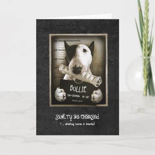 Funny Bull Terrier "Mug Shot" Carte de voeux (Devant)