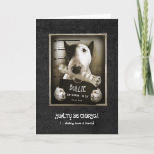 Funny Bull Terrier "Mug Shot" Carte de voeux