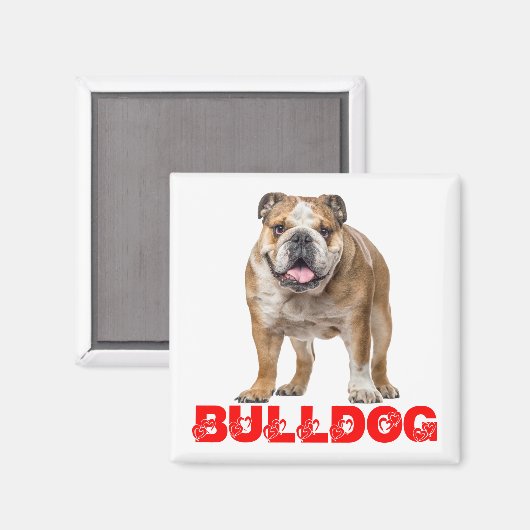 Funny Bulldog Lover Funny Bully Puppy Dog Magneet (Voorkant / Achterkant)