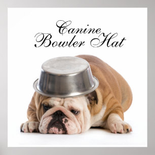 Funny Bulldog Mode - Poster - srf