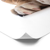 Funny Bulldog Mode - Poster - srf (Coin)