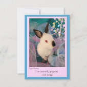 Funny Bunny Flat Greeting Card w/ Envelope Bedankkaart (Voorkant)