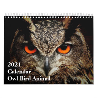 Funny Calendar: Owl Bird Animal Kalender