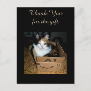 Funny Calico Cat in Box Dank je Briefkaart