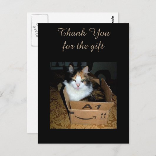 Funny Calico Chat en boîte Merci carte postale (Devant / Derrière)