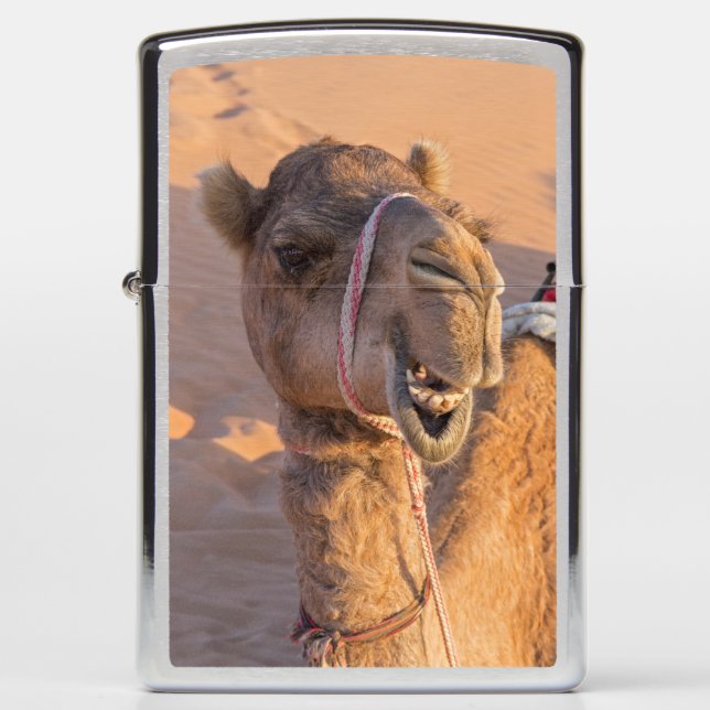 Funny Camel (Voorkant)