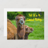 Funny Camel Animal Briefkaart (Voorkant / Achterkant)