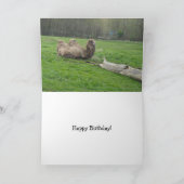 Funny Camel Birthday Kaart (Binnen)