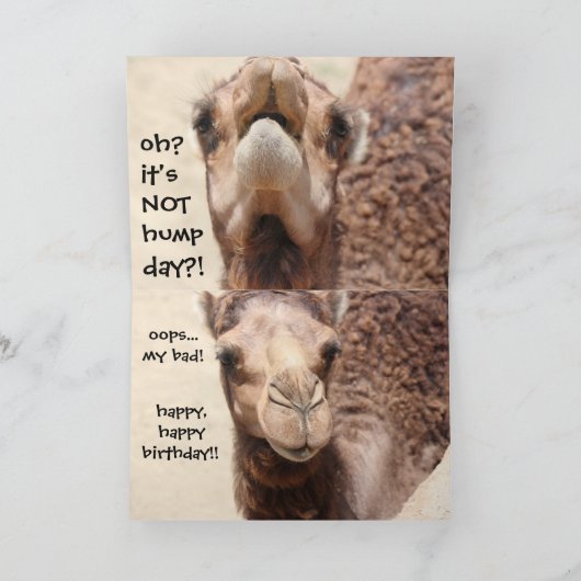 Funny Camel Hump Day Carte d'anniversaire (Intérieur)