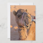 Funny Camel Kaart (Voorkant)