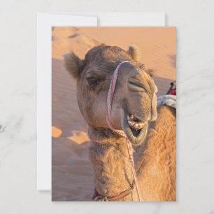 Funny Camel Kaart