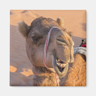 Funny Camel Magneet