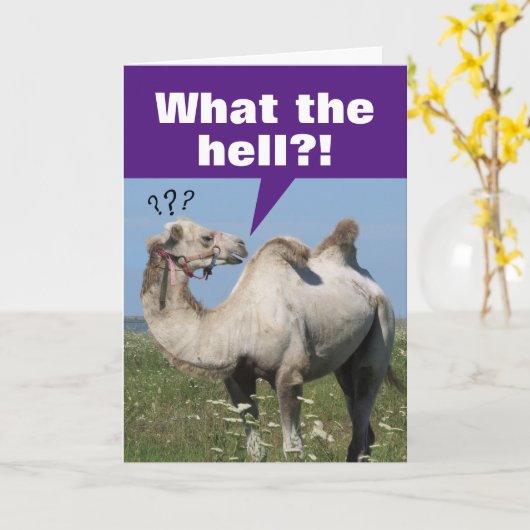 Funny Camel met droopy Humps Birthday Kaart (Gele Bloem)