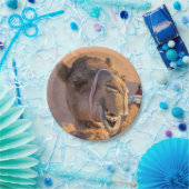 Funny Camel Papieren Bordje (Feest)