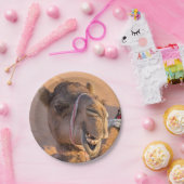 Funny Camel Papieren Bordje (Feest)
