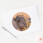 Funny Camel Ronde Sticker (Envelop)