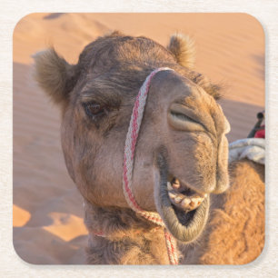 Funny Camel Vierkante Kartonnen Onderzetter