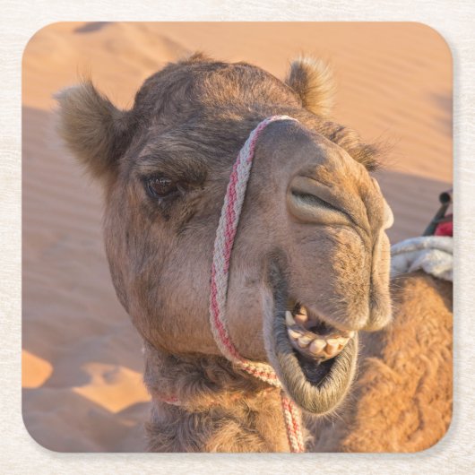 Funny Camel Vierkante Kartonnen Onderzetter (Voorkant)