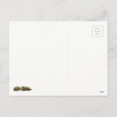 Funny Camping Noël Carte postale (Dos)