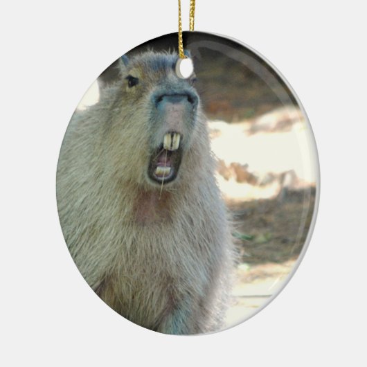 Funny Capybara Ornament (Links)