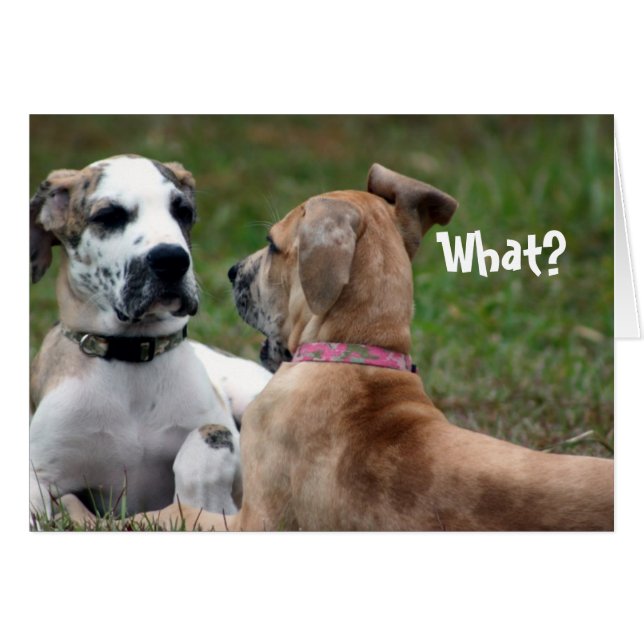 Funny Card Awkward (Voorkant Horizontaal)