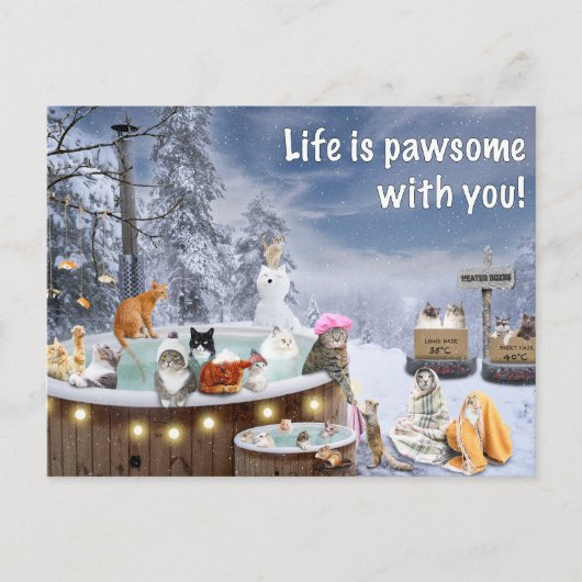 Funny Card met katten die in een hete buis wegvall Feestdagenkaart (Voorkant)