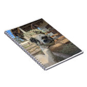 Funny Carnet Alpaca (Côté Droit)