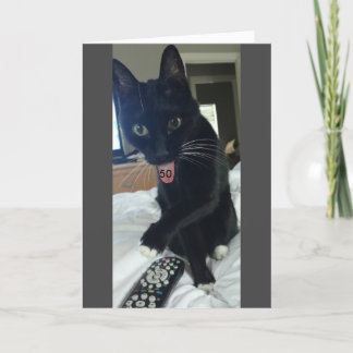 Funny carte d'anniversaire 50e chat
