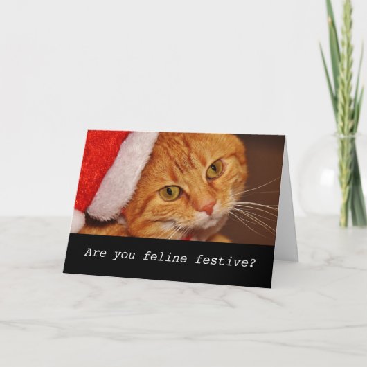 Funny carte de Noël de chat personnalisée (Devant)