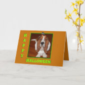 Funny Carte Halloween avec Basset en Casquette Cit (Fleur jaune)