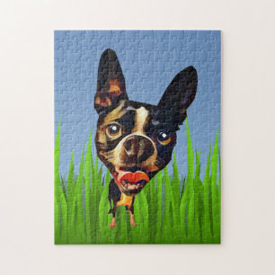 Funny Cartoon Boston Terrier 252 Piece Puzzle Legpuzzel