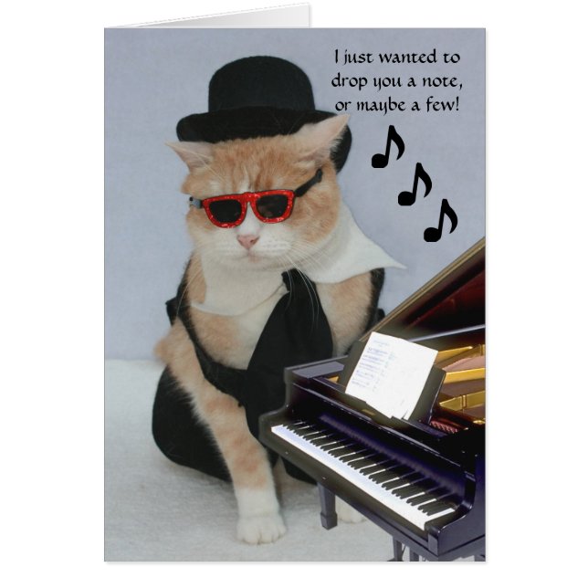  Funny Cat (Voorkant)