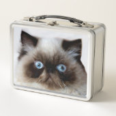 Funny Cat (Voorkant)