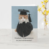 Funny Cat Afstuderen Kaart (Gele Bloem)