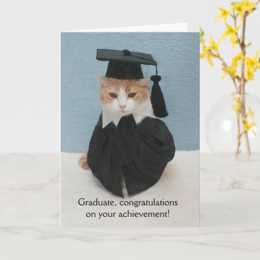 Funny Cat Afstuderen Kaart (Gele Bloem)
