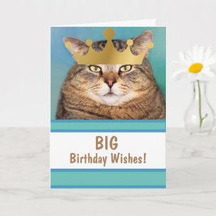 Funny Cat Big Birthday wil Kaart