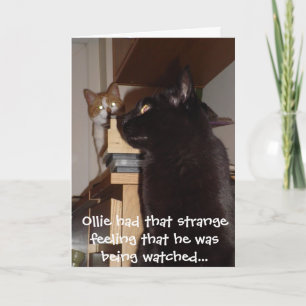Funny Cat Birthday Card "Being Watts" Kaart