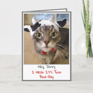 Funny Cat Birthday Card Kaart