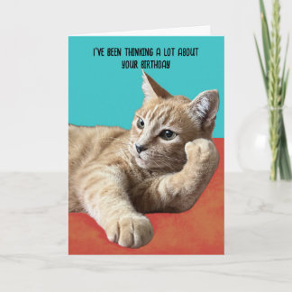 Funny Cat Birthday Card Kaart