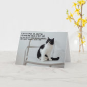 Funny Cat Birthday Greeting Card  Kaart (Gele Bloem)