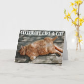 Funny Cat Birthday Greeting Card  Kaart (Gele Bloem)