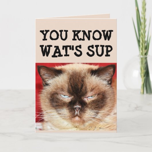 FUNNY CAT BIRTHDAY Wenskaart Kaart (Voorkant)