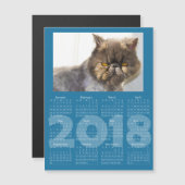 Funny Cat Blue 2018 Calendrier Carte magnétique (Devant / Derrière)