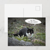 Funny cat briefkaart (Voorkant / Achterkant)